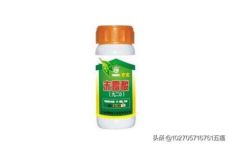 生长调节剂有哪些种类?在蔬菜生产中怎样应用?