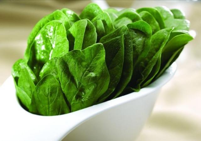 春季露地菠菜如何种植能高产?