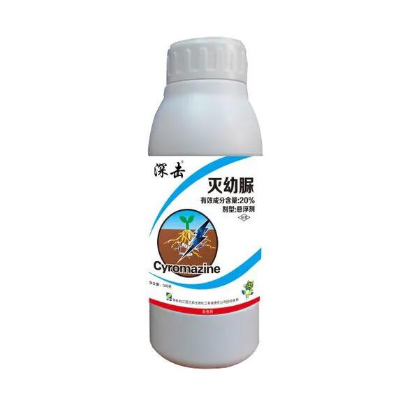 小菜蛾防治可用什么昆虫生长调节剂?有什么需要注意的问题?