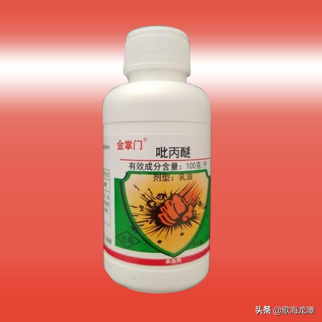 小菜蛾防治可用什么昆虫生长调节剂?有什么需要注意的问题?