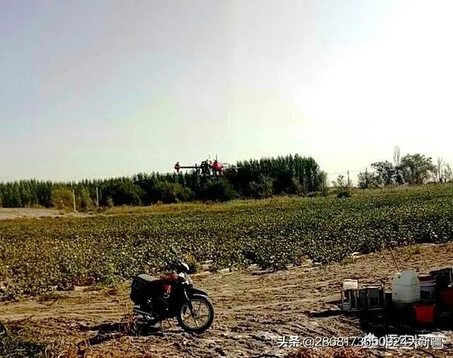 农作物用农药是分开用好,还是混合用好?