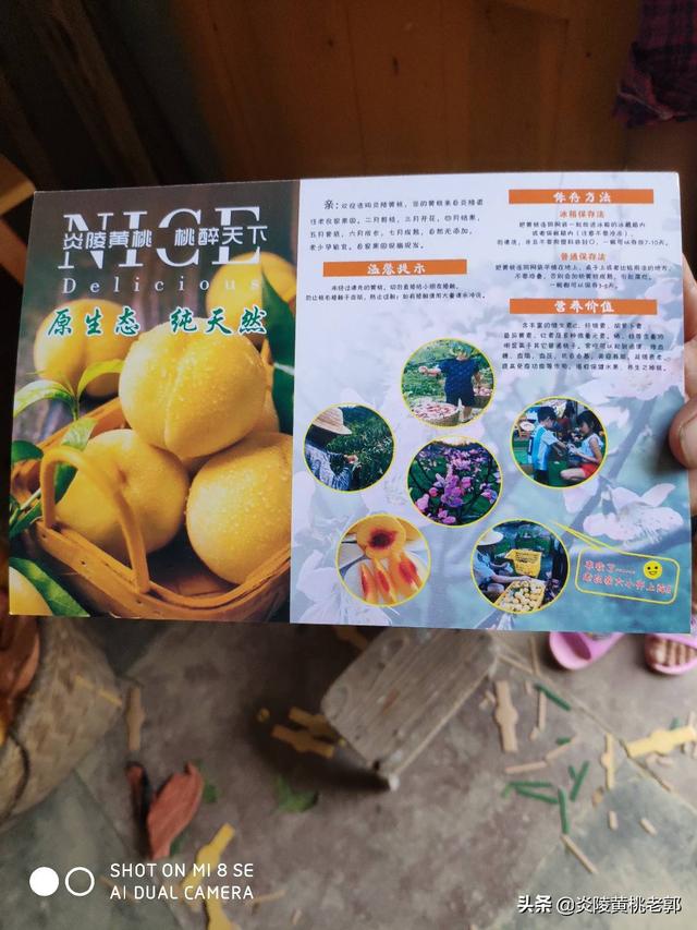 今年的倒春寒会对桃子的价格有影响吗?