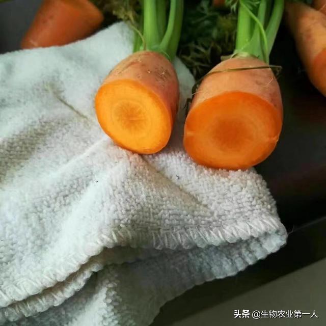 樱桃转色期,如何管理才能着色艳、果甜、卖出好价钱？