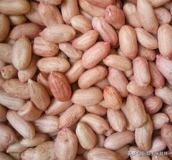 花生是什么时候播种的？什么样的土壤种植花生比较合适？