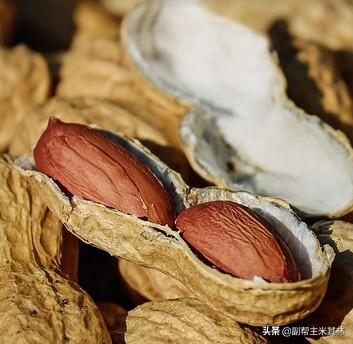 花生是什么时候播种的？什么样的土壤种植花生比较合适？