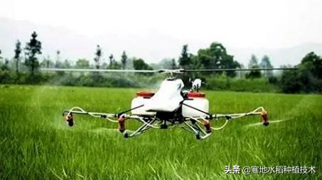 农药每亩60克至80克这是怎么兑水?