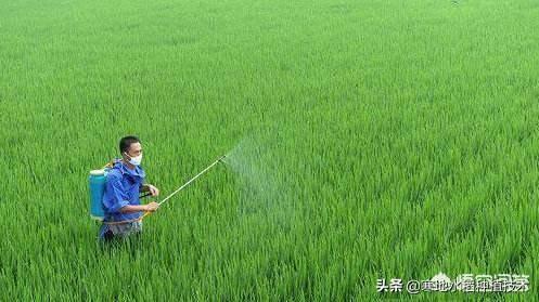 农药每亩60克至80克这是怎么兑水?