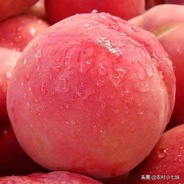 桃套袋用红色好还是什么色好？