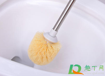 坐便器飞小虫子怎么处理