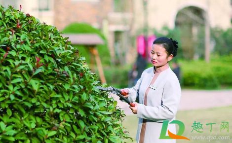 小区物业最怕什么举报