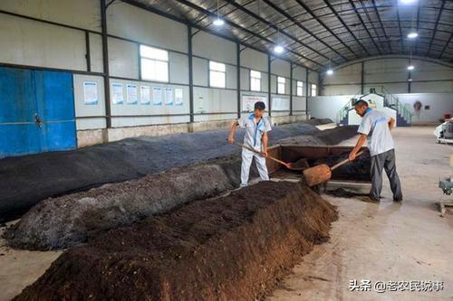 农谚:“冷粪果木热粪菜,生粪上地连根坏”。农家粪到底如何用?