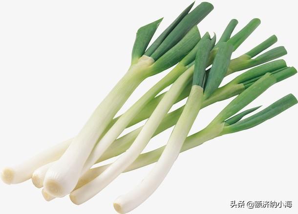 种植大葱播种量如何确定?又该如何处理种子呢?