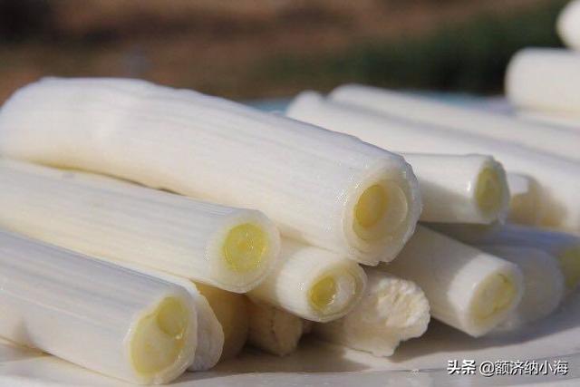 种植大葱播种量如何确定?又该如何处理种子呢?