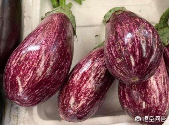 茄子有哪些种类?要如何种植管理才能高产?
