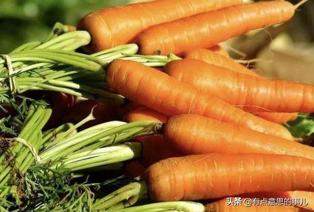 胡萝卜肉质根不着色的发生原因和防治措施都有哪些？