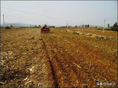 小麦种植前,需要深耕土壤吗?