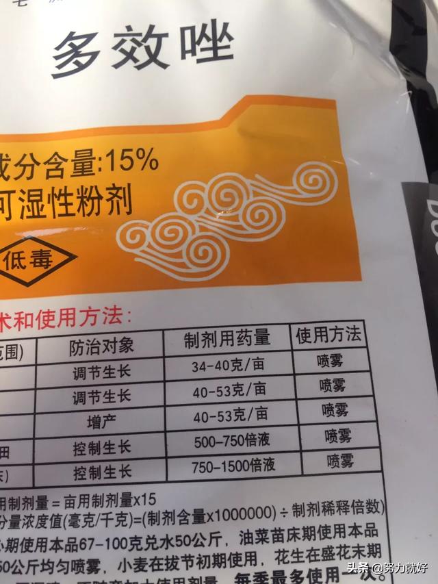 大姜能打多效唑吗?