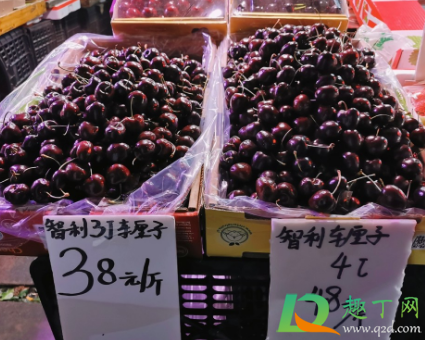 科迪亚车厘子和智利车厘子哪个好