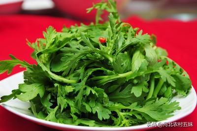 8月份可以种茼蒿吗?怎样种植?