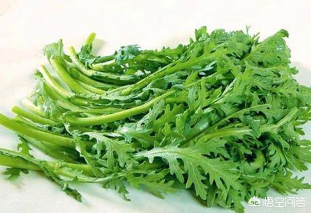 8月份可以种茼蒿吗?怎样种植?