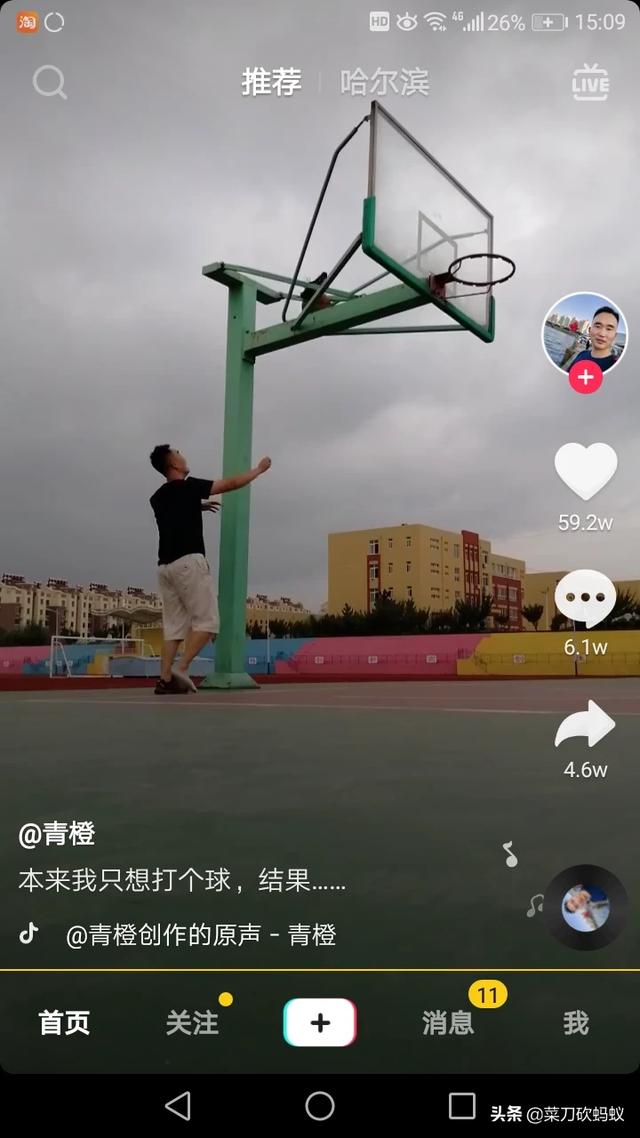 8月份可以种茼蒿吗?怎样种植?