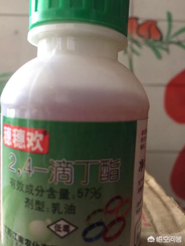 2.4一D作为激素如何应用?