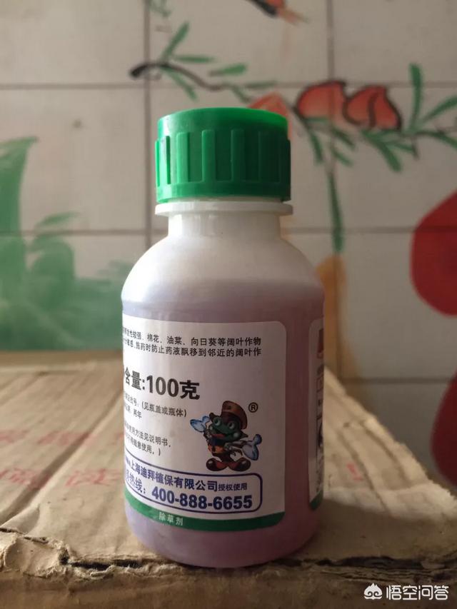 2.4一D作为激素如何应用?