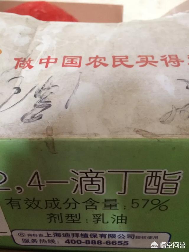 2.4一D作为激素如何应用?