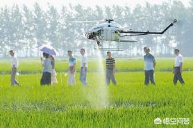 甲氨基阿维菌素苯甲酸盐可以和芸苔素、磷酸二氢钾等面肥合用吗？
