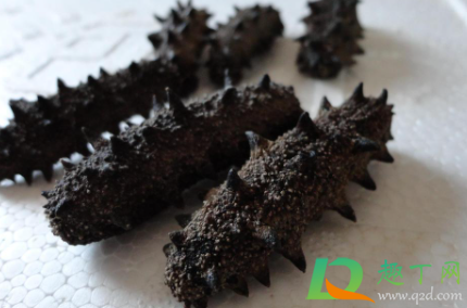 糖干海参到底能不能吃