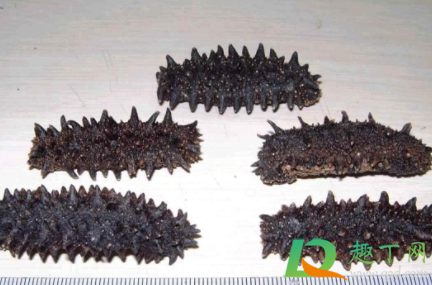 糖干海参到底能不能吃