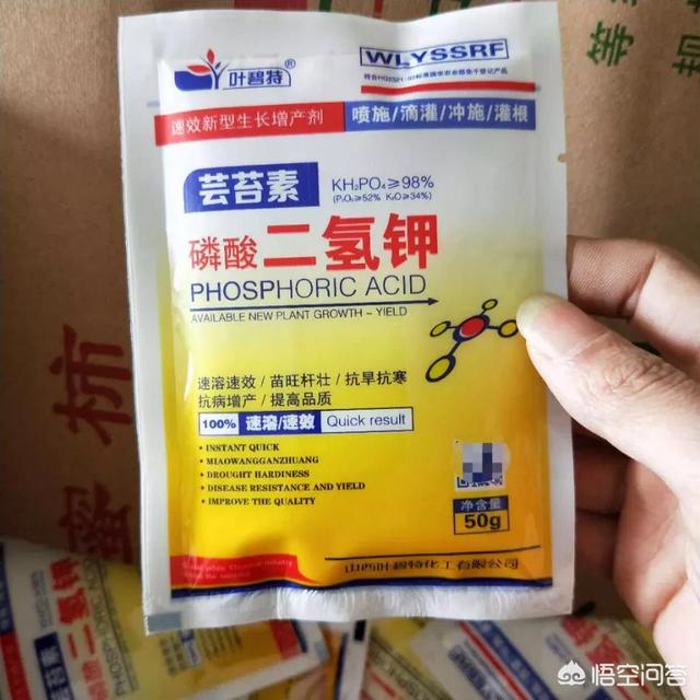 生长调节剂+叶面肥能十杀虫剂吗?