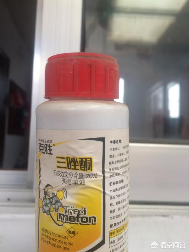 三唑酮能和生长调节剂磷酸二氢钾混配吗?