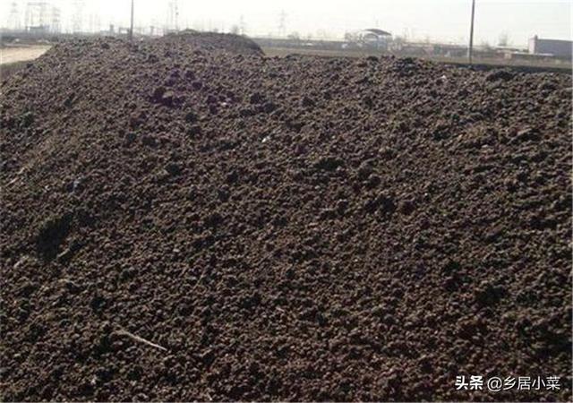 种植西红柿用什么肥好?如何种才能产量高?