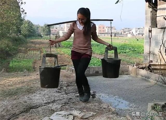 种植西红柿用什么肥好?如何种才能产量高?