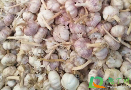 家里有股大蒜味是什么原因