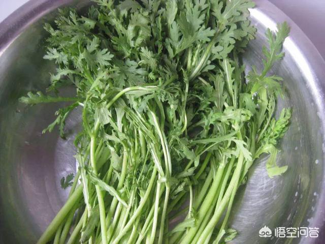 茼蒿炭疽病有哪些危害?茼蒿种植怎么防治炭疽病?还请网友们帮忙介绍?