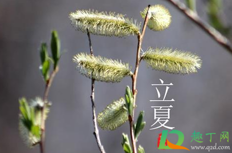 立夏的时候热吗 2022立夏是哪一天什么时间