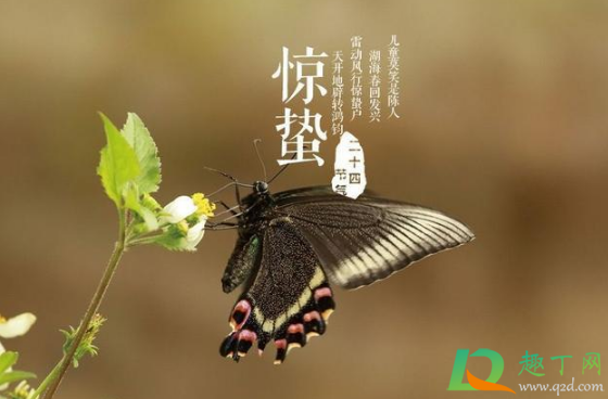 惊蛰是九九最后一天吗