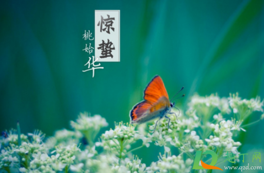 惊蛰是九九最后一天吗