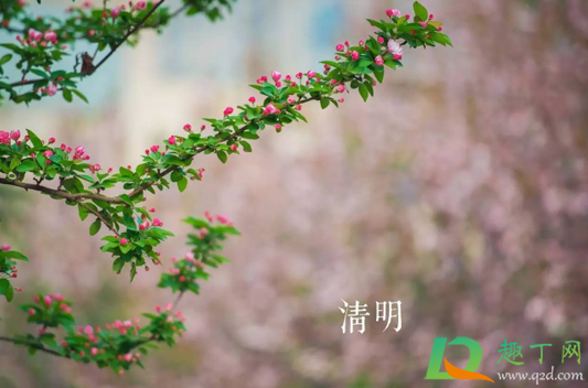 2021北京清明节扫墓需要预约吗