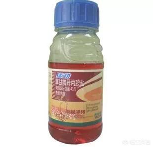 梨树苗地里能打玉米苗前除草剂吗?