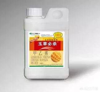 梨树苗地里能打玉米苗前除草剂吗?