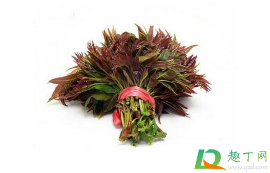 煮香椿的水能浇花吗