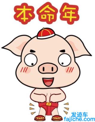 本命年注意事项 2019年猪年犯太岁化解全解密