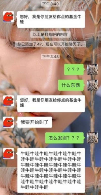 基金牛蛙什么梗