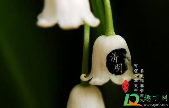 2021清明节厂里放假吗