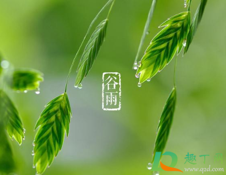 2021年谷雨能下葬吗