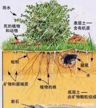 土地偏弱酸性,用什作基肥比较好?