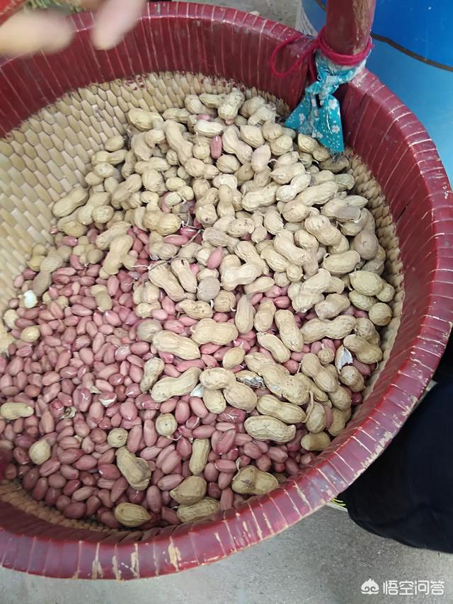 如何让花生产量达到800斤以上?